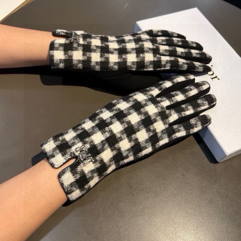 Christian Dior Gloves